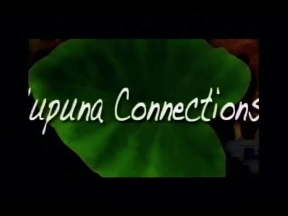 Care Homes and Foster Homes: Potential  Alternatives to Nursing Home Care?