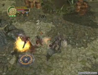 Dungeons & Dragons Heroes - En pleine jungle