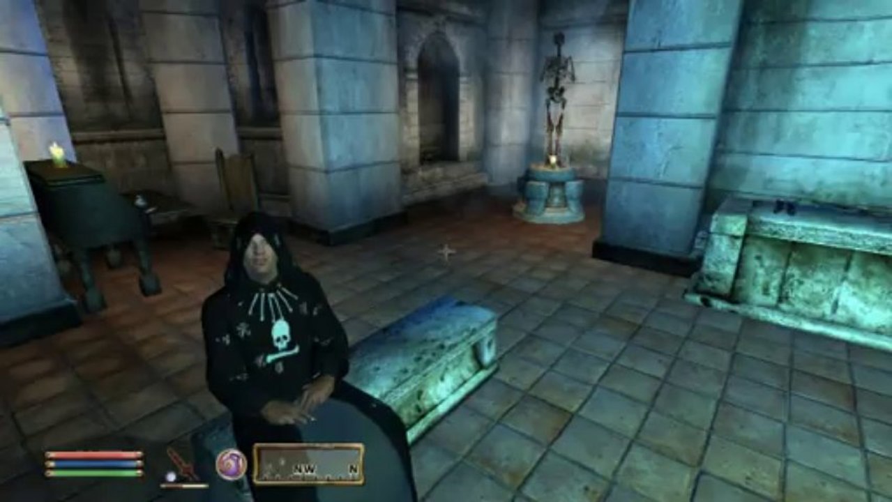 Oblivion: Origin of the Mages Guild Mod V7