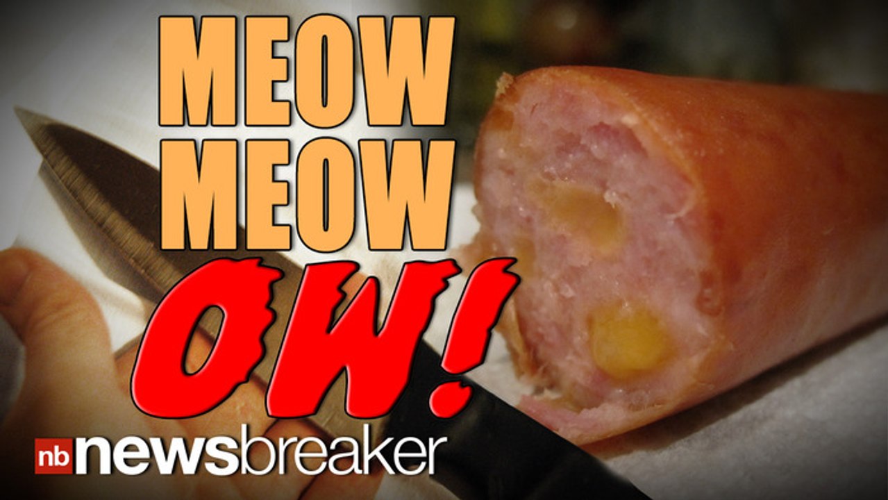 MEOW MEOW? OW: Teen High On Mephedrone Stabs Mom. Cuts off Own Penis