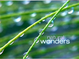 Zenses Ocean - Relax, take it easy