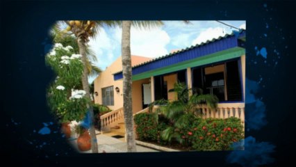 The Leading Rentals Provider in Aruba