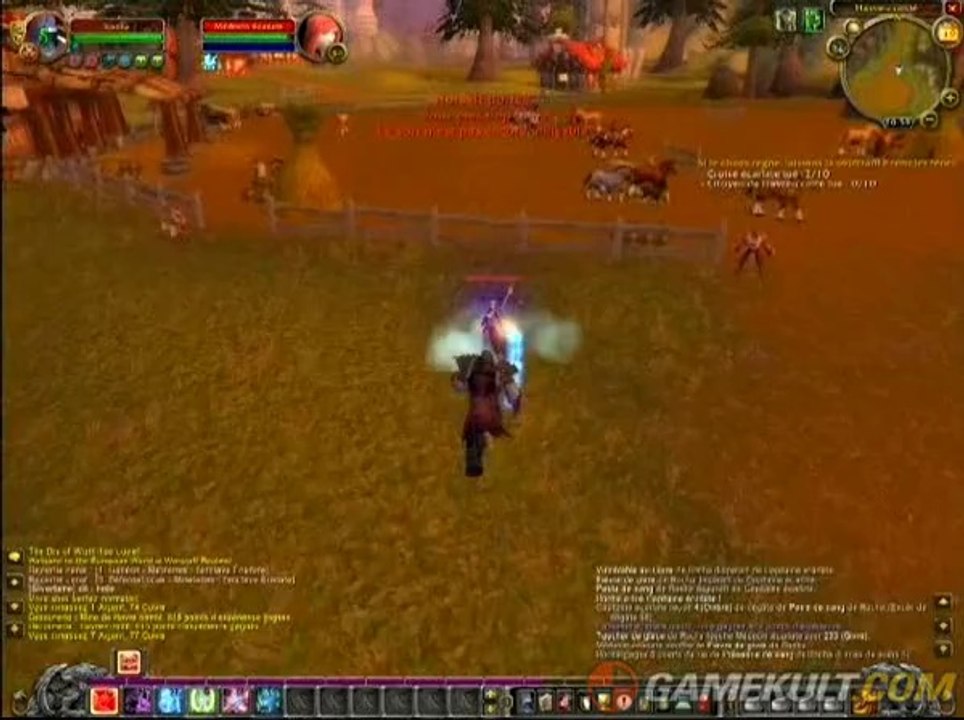 World of Warcraft : Wrath of the Lich King - Gr...
