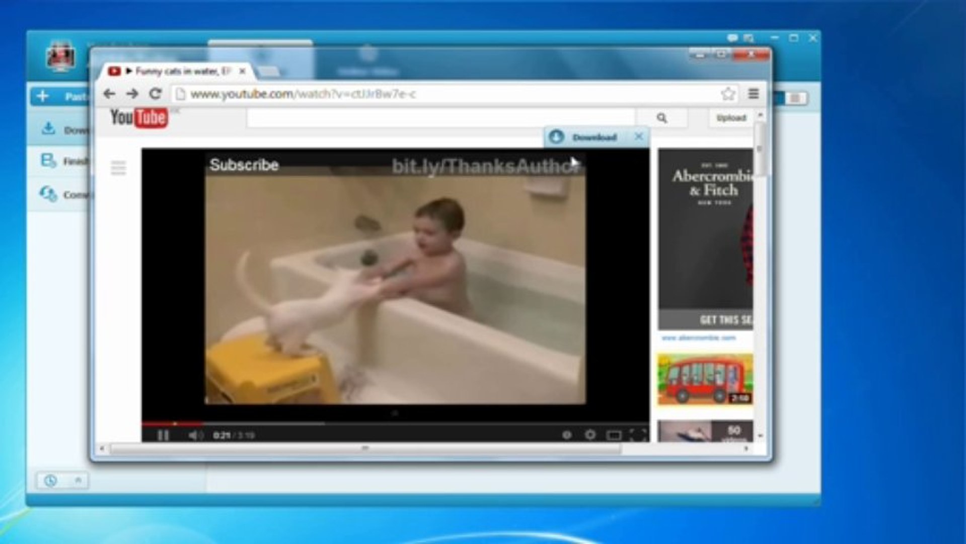 How to Download Funny Cat Videos from YouTube