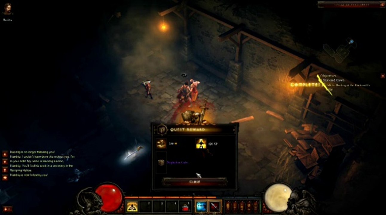 Diablo III - Those cats were fast as lighting (Moine)