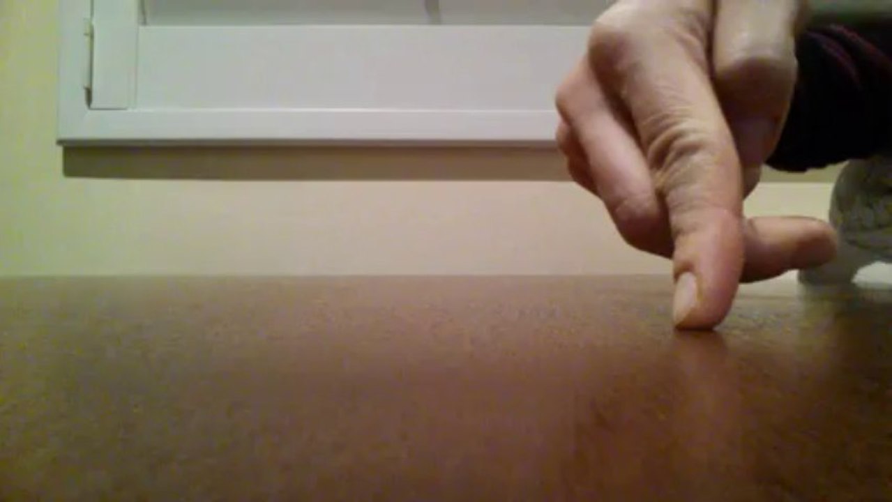 The Hand Model