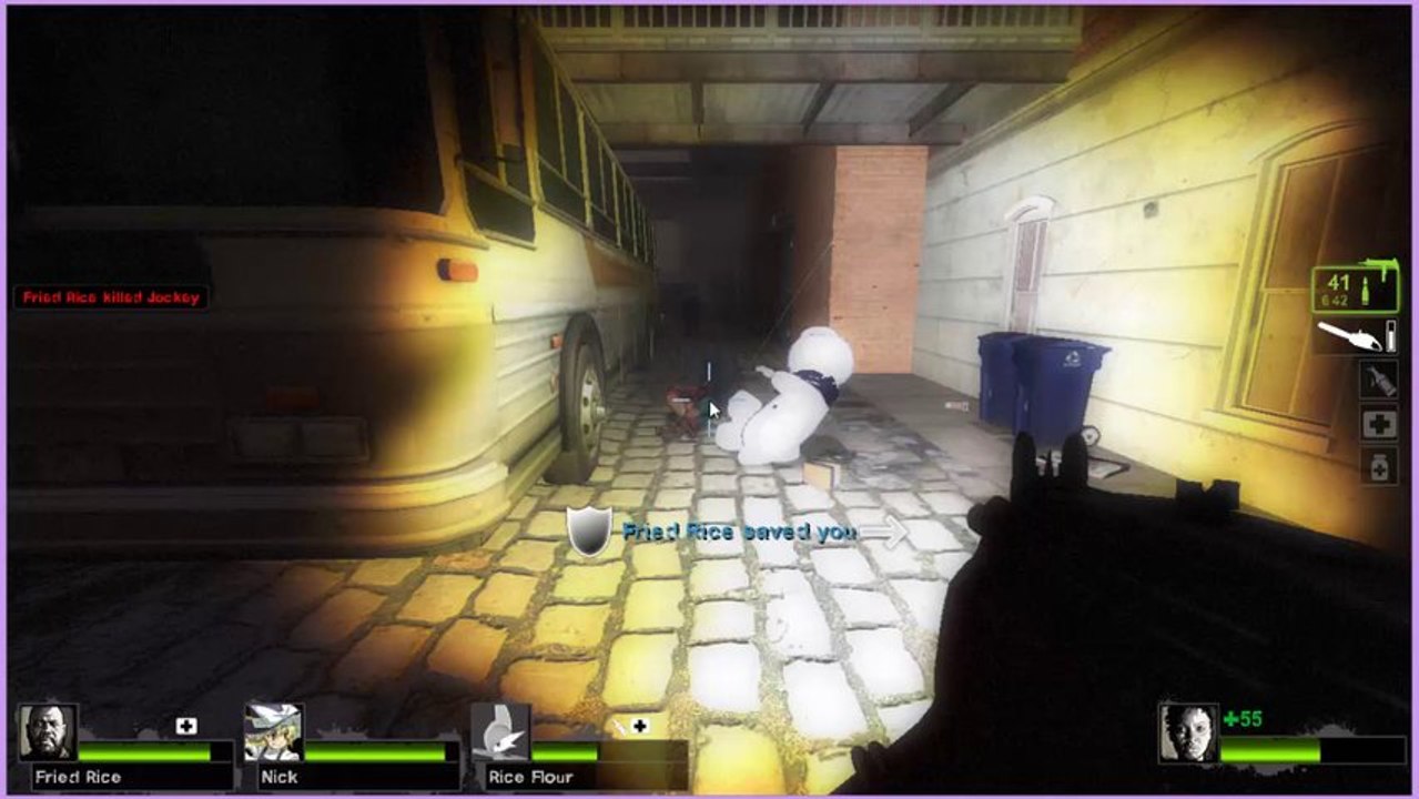 Salenas Mental Break Down (Left 4 Dead 2)