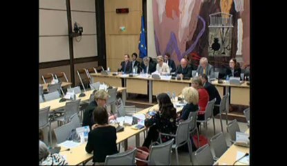 Audition de Mme Delphine Batho, sur la transition énergétique - Mercredi 5 Juin 2013