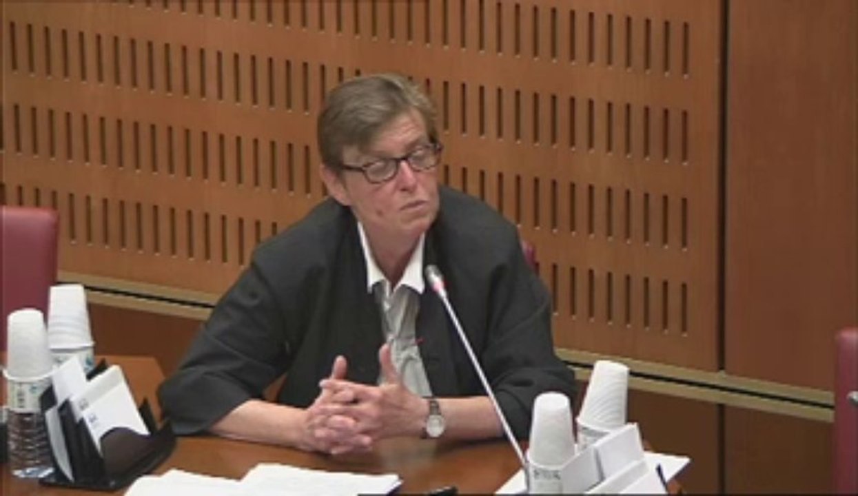 Audition de Mme Isabelle Grémy, directrice du département maladies chroniques et traumatismes (INVS) - Jeudi 6 Juin 2013