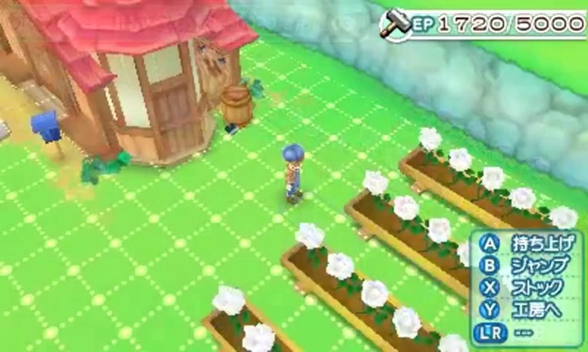 Harvest Moon : A New Beginning - Construction