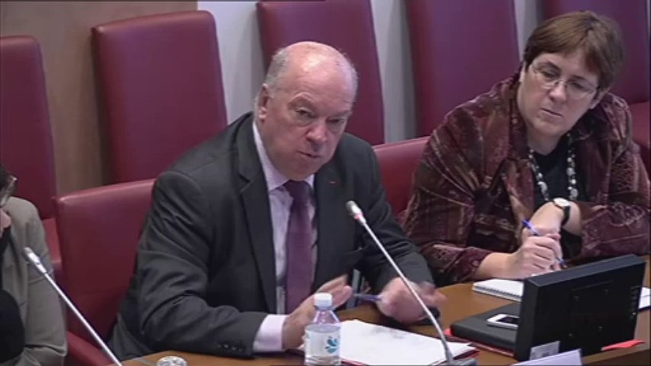 Mme Monique Cavalier, Dg de l'Agence régionale de santé de la région Midi-Pyrénée - Jeudi 9 Janvier 2014