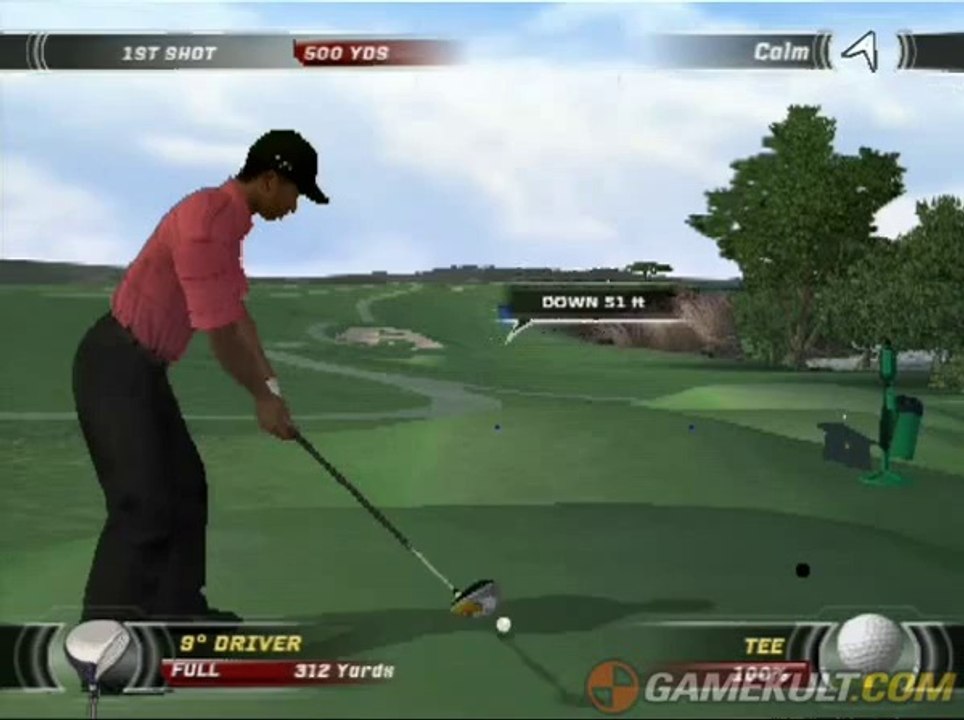 Tiger Woods PGA Tour 07 - Le tigre sort un aigle