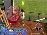 Les Sims 2 : Animaux & Cie - Les parents pauvres de l'add-on