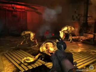 Metro 2033 - Ils sont partout !