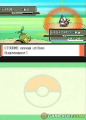 Pokémon Platine - Le petit oiseau de Trunks sifflote