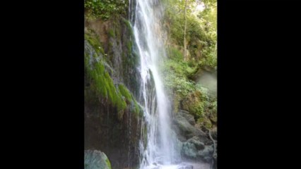 Everly Brothers _ Green River  _
