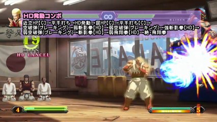 The King of Fighters XIII - Combos Team Garou