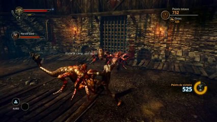 The Witcher 2 : Assassins of Kings - Enhanced Edition - Une arène contre des endryaques