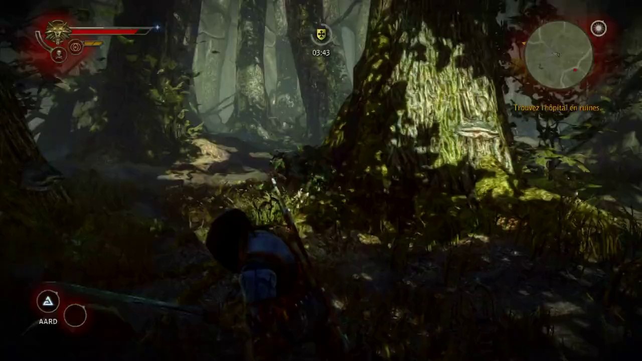 The Witcher 2 : Assassins of Kings - Enhanced Edition - Changer d'épée