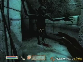 The Elder Scrolls IV : Oblivion - Le voleur aime les donjons