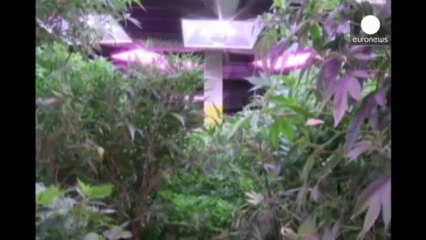 Brisk business for Colorado's booming marijuana trade