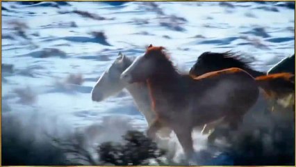 Người Tình Mùa Đông - Kim Anh & Thiên Kim (HD720)