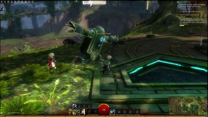 Guild Wars 2 - Sûrement une erreur 500