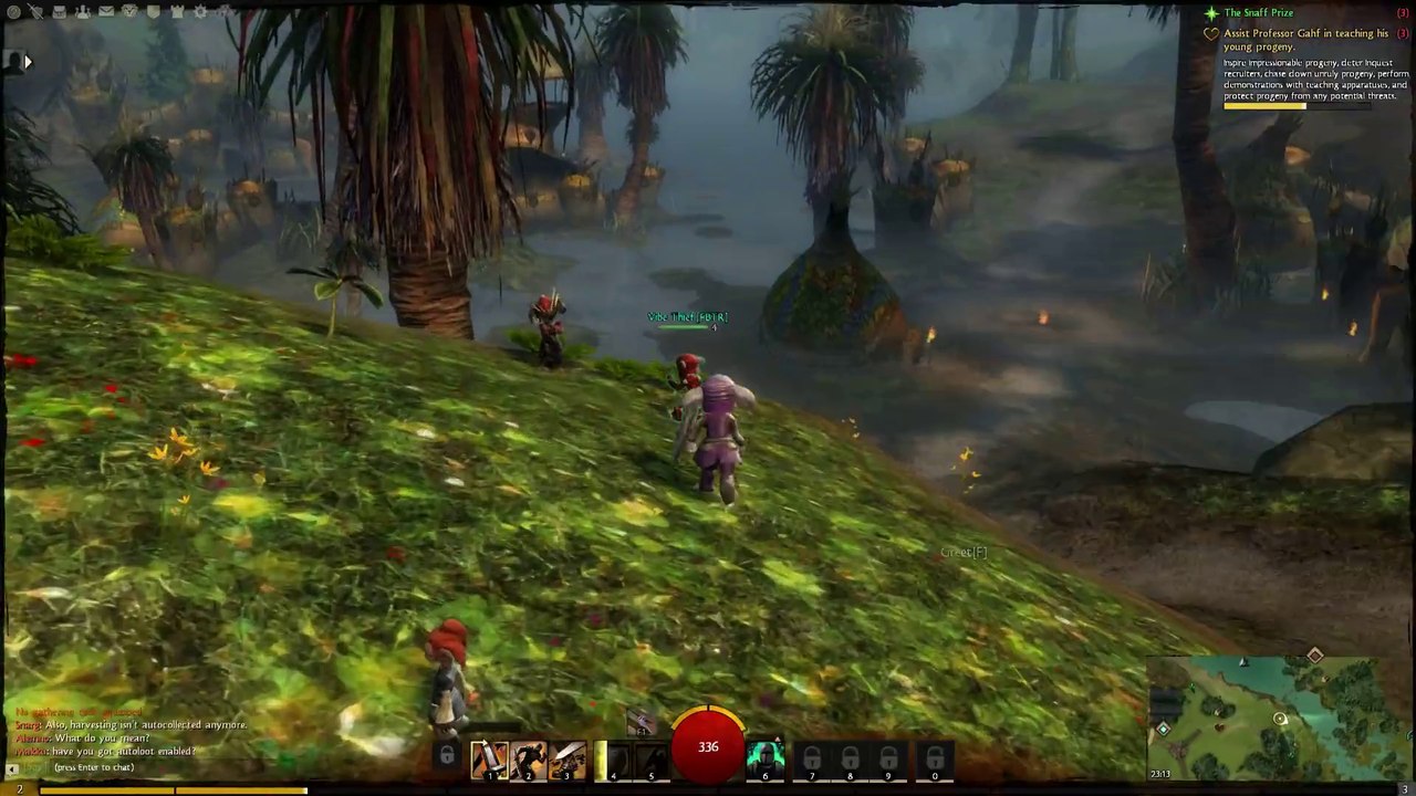 Guild Wars 2 - Petit mais costaud