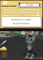 Hana Deka Club : Les Grosses Truffes - Un calin avec Trunks