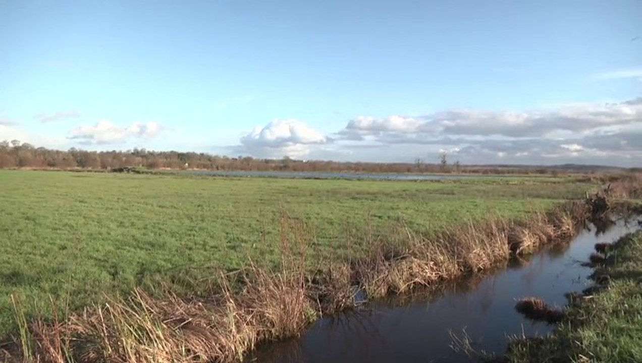 Balade sur les chemins des marais de Carentan [TéVi] 10-01-14