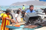 Pescadores artesanales de Puerto López contarán con planta de procesamiento de productos del mar