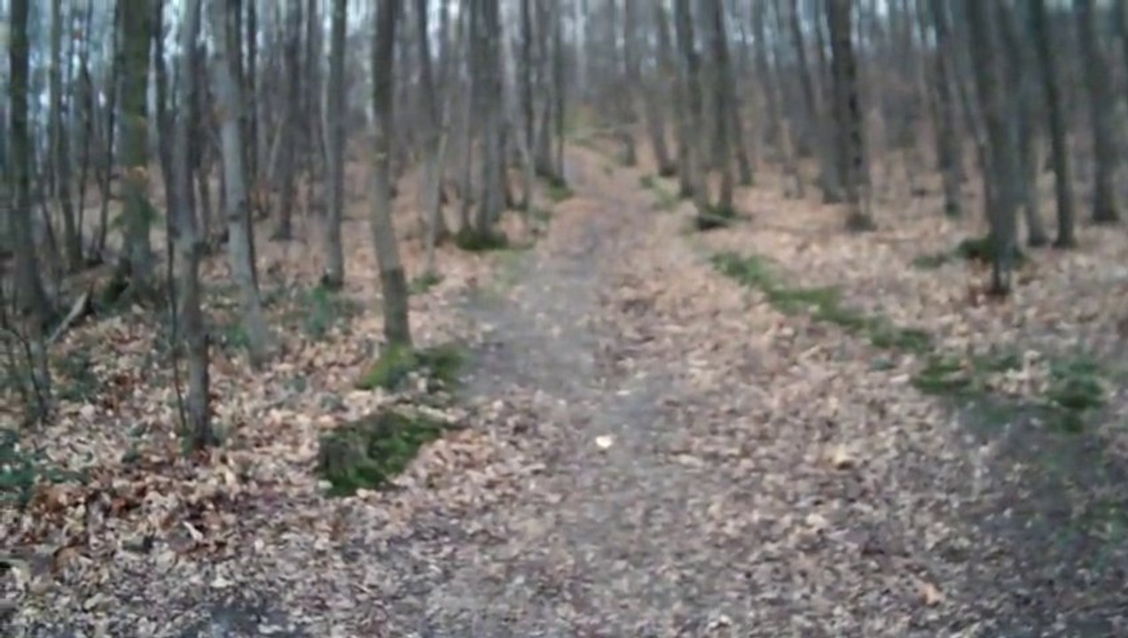 Saint Cucufa, la Mecque du running :-)