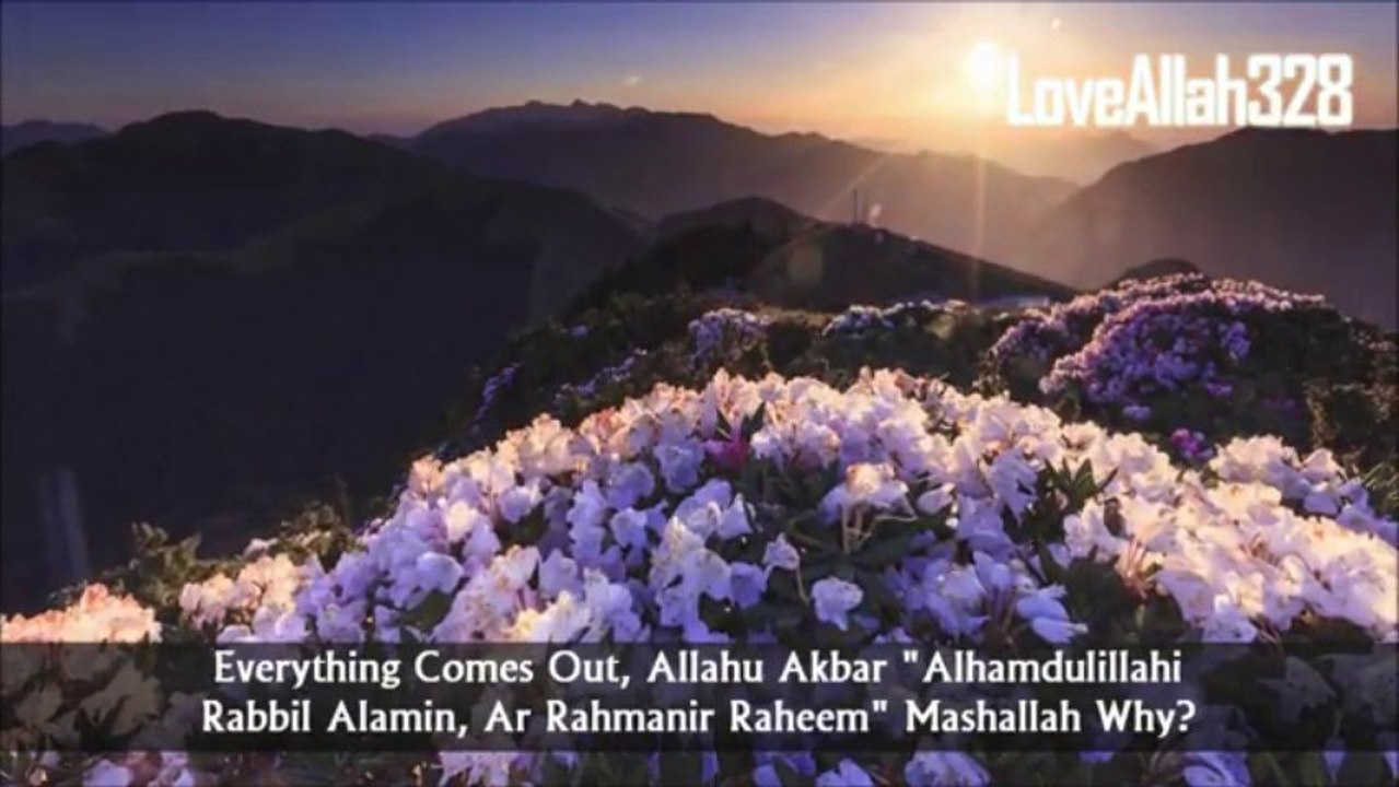 Problems   Difficulties (A Gift From Allah), short clip by Mufti Menk