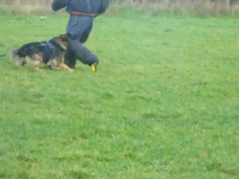 entrainement campagne 04/01/14