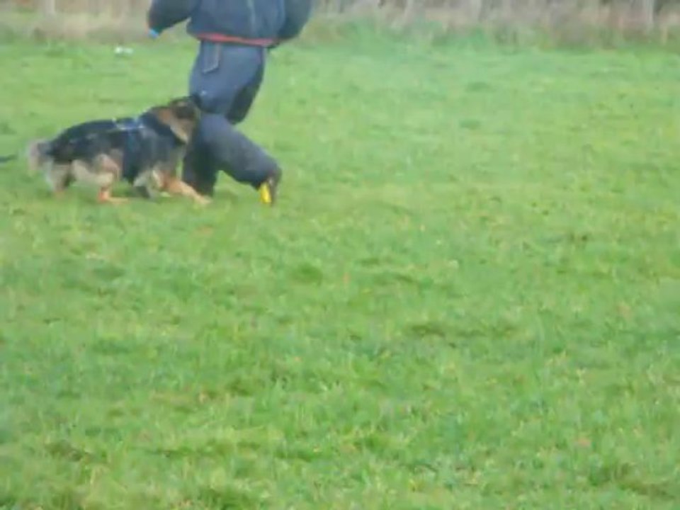 entrainement campagne 04/01/14
