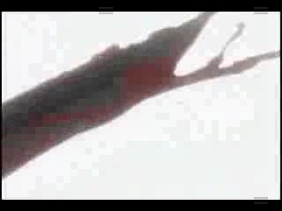Bankai : Kurosaki vs Kuchiki