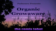 Paduraru - Gentle Inherit (Original Organic #HouseMusic Mix)