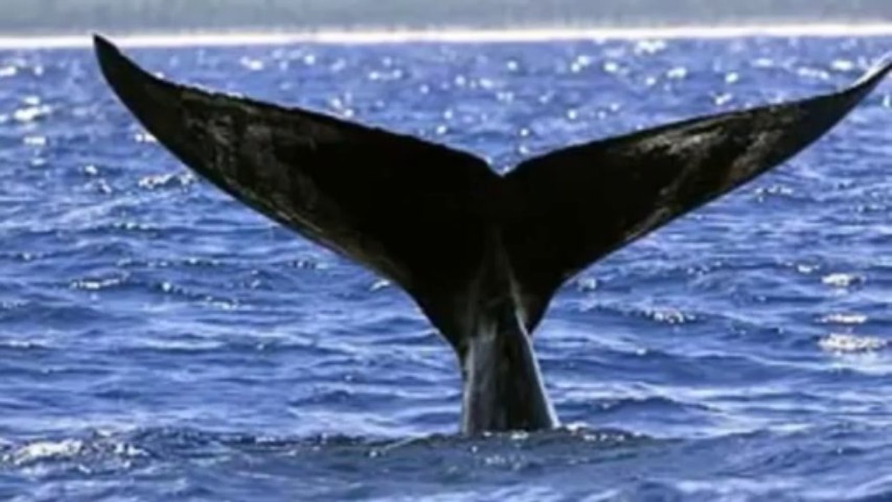 Classical Music Vol. 9 Franz Liszt Consolation No.3