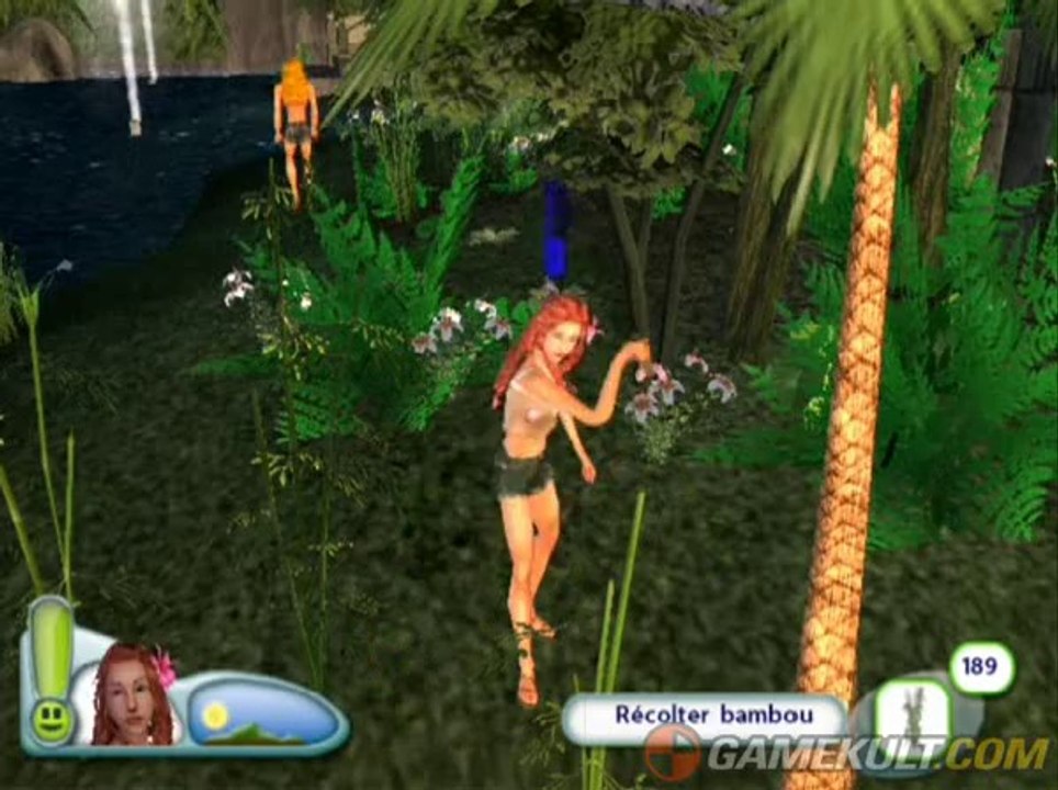 Les Sims 2 : Naufragés - De la cueillette dans le jardin secret