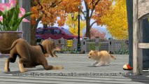 Les Sims 3 : Animaux & Cie - Reportage EA à la Gamescom