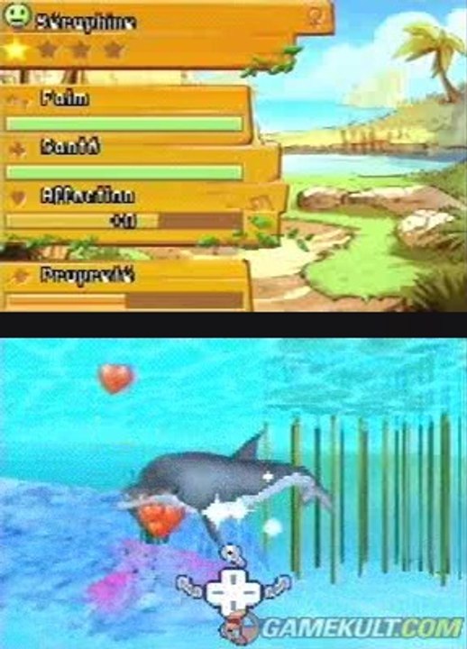 Planète Nature : Au secours des animaux marins - Câlin avec les dauphins