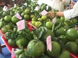 Hòa Tấu Liên Khúc Bình Minh Thôn Dã