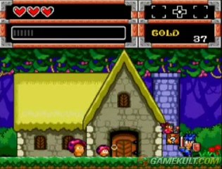 Dynastic Hero - Le paradis des Fées