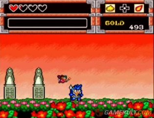 Dynastic Hero - Gros crapaud pas beau