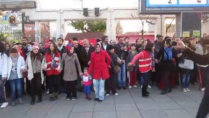 Bagcılar Hamsi Soleni-1