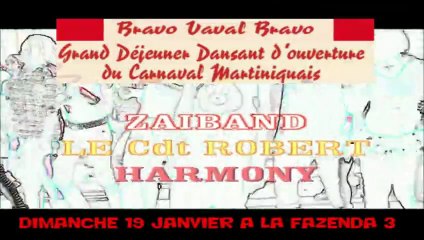 FAZENDA 3 DIMANCHE 19 JANVIER 2014 Carnaval Bravo VAVAL