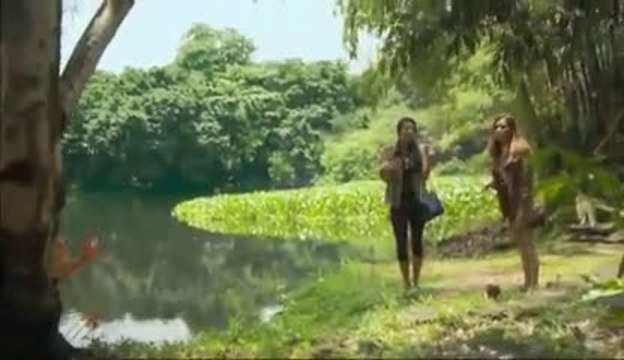 Un crocodile attaque une touriste et la dévore!
