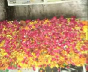 marriage problem solutions 9815432022