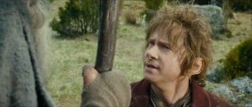 Le Hobbit La Désolation de Smaug-The Hobbit The Desolation of Smaug_Bande Annonce-2-2013-VF