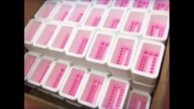 STRAFOR KUTU - 0 532 136 2299